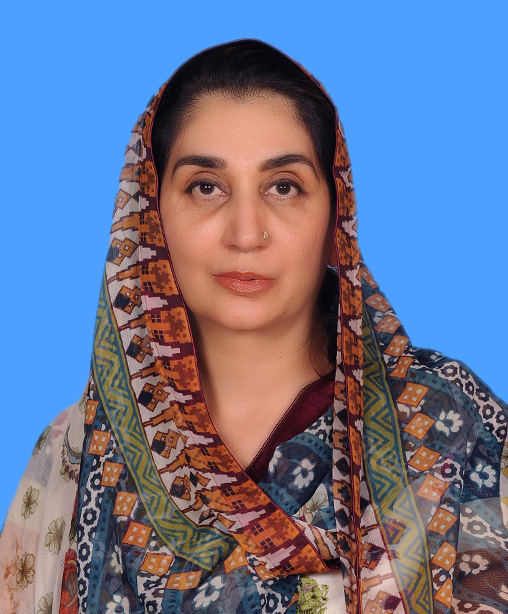 Naureen Farooq Ibrahim